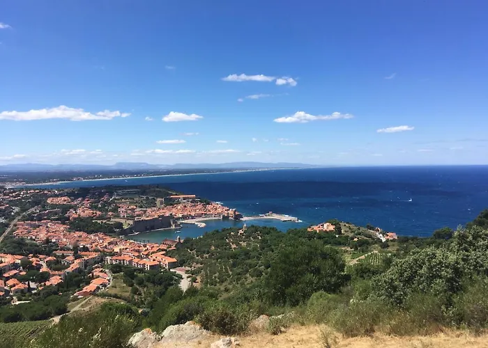 Pieds Dans L'eau A Collioure